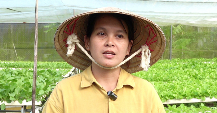 Phụ nữ Cần Thơ khởi nghiệp rau sạch từ nghề y