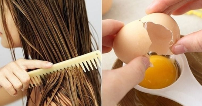 Trứng gà phục hồi tóc hư tổn tự nhiên hiệu quả tại nhà