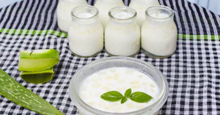 Cách làm sữa chua nha đam bằng nồi cơm điện