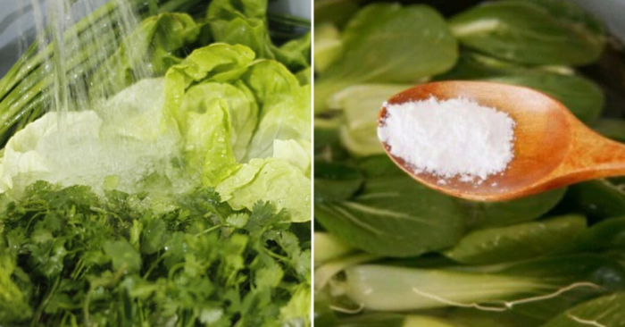 Ngâm rau nước muối, tưởng sạch hóa độc