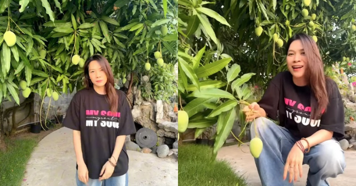Mỹ Tâm giản dị mà “rất ngầu” bên vườn trái cây nhà riêng