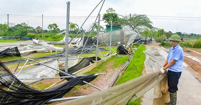 Giá rau củ tăng mạnh sau bão Kalmaegi