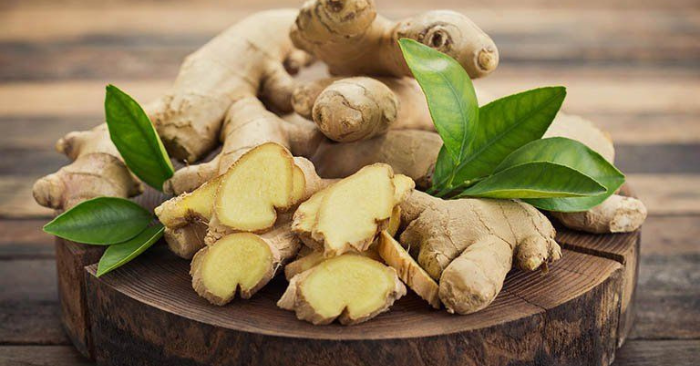 Củ gừng nhỏ – bí quyết phong thủy hút vượng khí