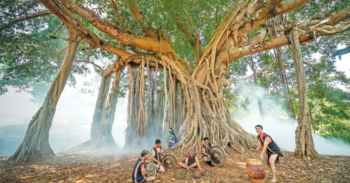 Thất vọng: Bài học từ “cây gỗ vô dụng”