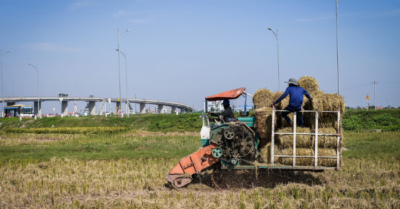 Thu gom rơm: Nông dân Ninh Bình kiếm trăm triệu mỗi mùa gặt