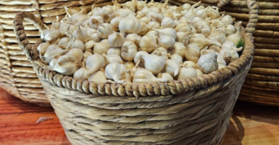 5 thực phẩm hỗ trợ chữa thận tự nhiên hiệu quả