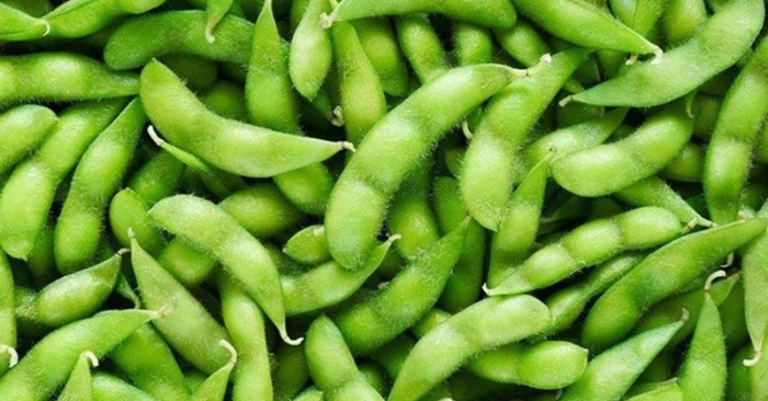 7 Thực Phẩm Giàu Chất Xơ Tốt Cho Sức Khỏe