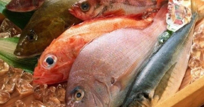 4 Loại Cá Ăn Nhiều Hại Gan