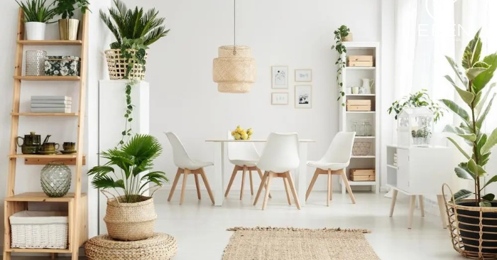 Gợi ý bài trí cây xanh phòng khách