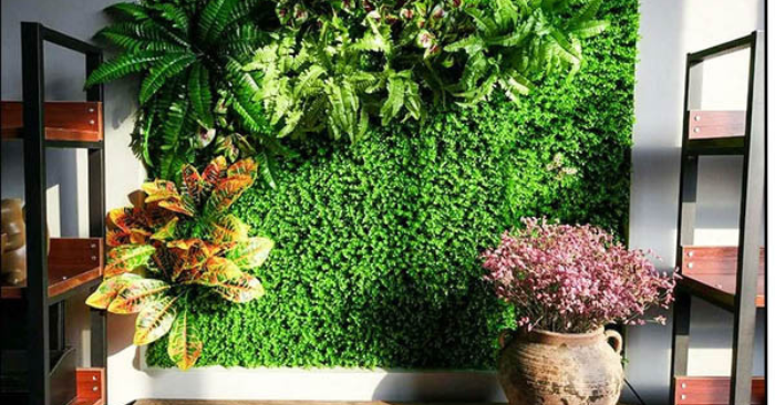 Gợi ý bài trí cây xanh phòng khách