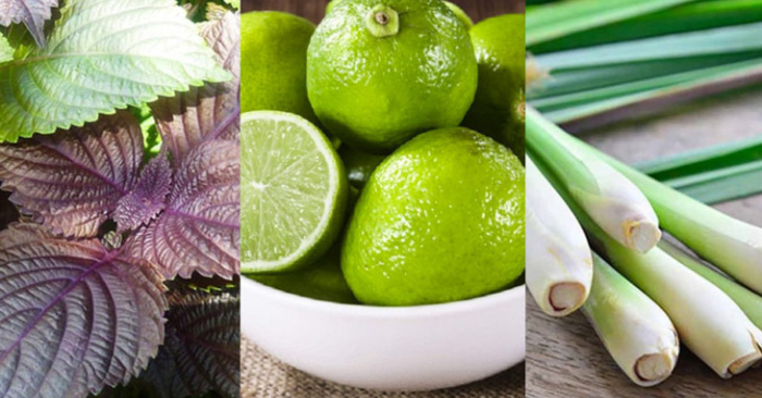 5 Loại Nước Uống Thảo Dược Giúp Tăng Đề Kháng