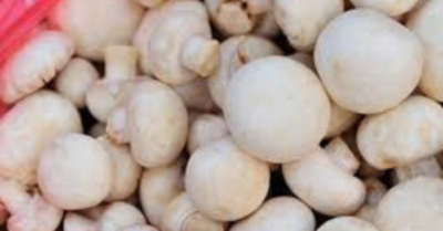 Ăn nấm giúp giảm nguy cơ ung thư
