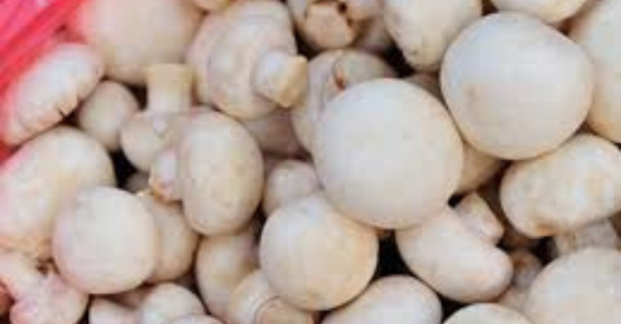 Ăn nấm giúp giảm nguy cơ ung thư
