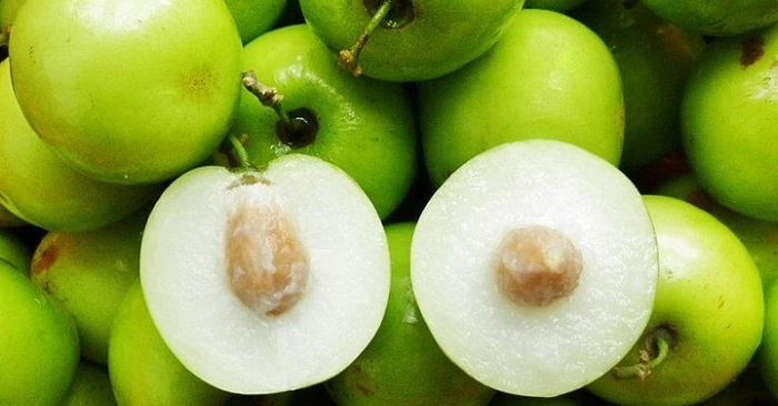Táo xanh – lợi ích sức khỏe rõ rệt