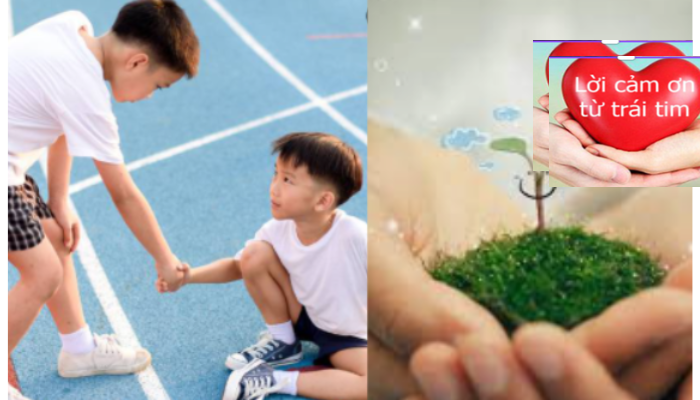 Hãy bắt đầu từ hôm nay – sống Chân, giữ Thiện, ôm Nhẫn.
Cuộc đời sẽ trở nên nhẹ nhàng, trong sáng và đẹp.