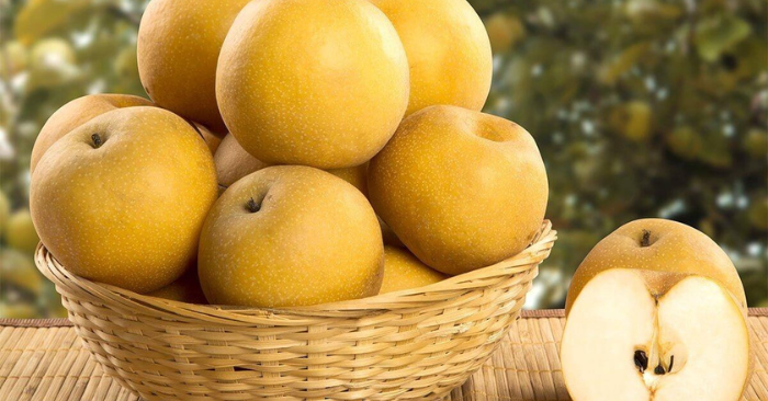 Lê – loại quả tốt cho sức khỏe, giá rẻ dễ mua