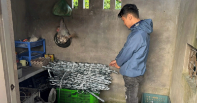 Triệu tập nghi phạm cắt trộm 121m dây cáp ở Hải Phòng