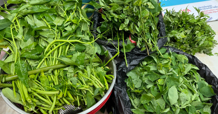 Thăm thông gia gặp nạn: 