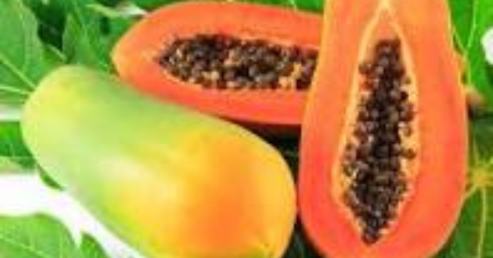  Cách ăn đu đủ xanh giúp vòng 1 căng tròn