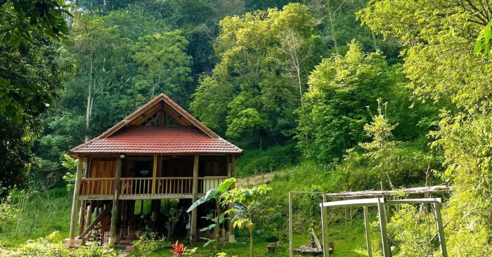 Gia đình nhỏ rời Hà Nội