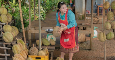 Sầu riêng Việt Nam cạnh tranh gay gắt tại thị trường Trung Quốc