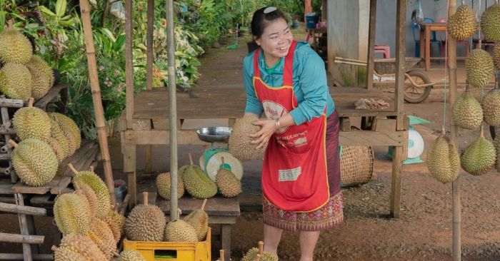 Sầu riêng Việt Nam cạnh tranh gay gắt tại Trung Quốc