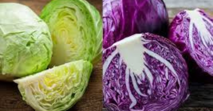 Bắp cải giảm cân nhanh, eo thon tự nhiên