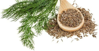 Lợi ích sức khỏe khi nhai hạt thì là sau bữa ăn