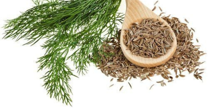 Lợi ích sức khỏe khi nhai hạt thì là sau bữa ăn