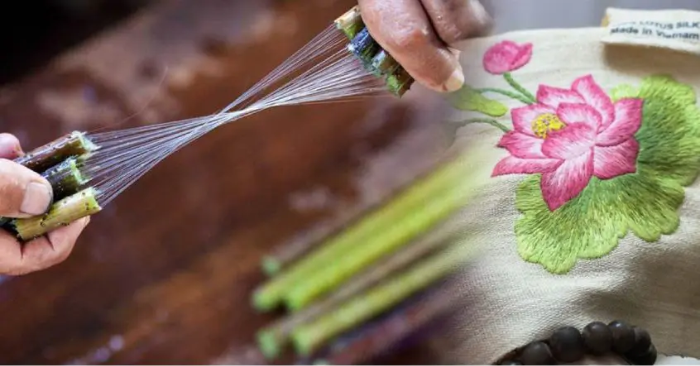 Lụa tơ sen – Tuyệt tác của sự thanh khiết