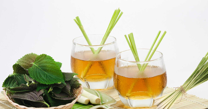 Lá tía tô và sả thải độc gan thận hiệu quả