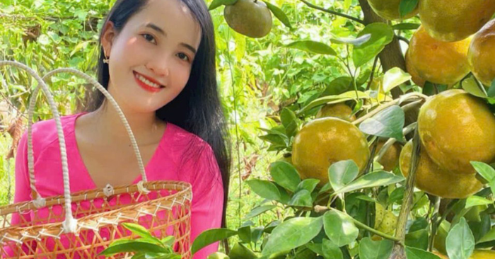 Quýt hồng Lai Vung hút khách du lịch miền Tây