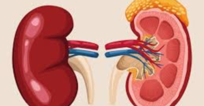 Những dấu hiệu thận yếu dễ bị nhầm lẫn nhiều người bỏ qua