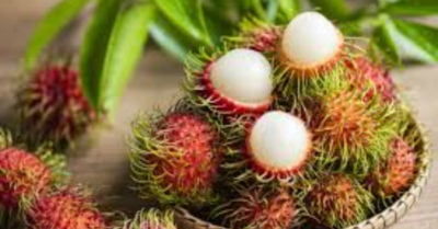 Lợi ích sức khỏe của quả chôm chôm đối với cơ thể