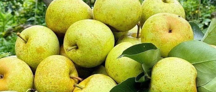 Quả giàu chất xơ giúp giảm cân an toàn, hiệu quả