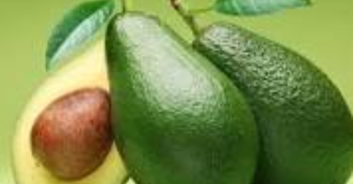 Vì sao ăn quả bơ giúp ngủ ngon và cải thiện giấc ngủ tự nhiên
