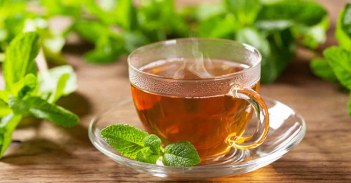 Uống nước lá quế mang lại tác dụng gì