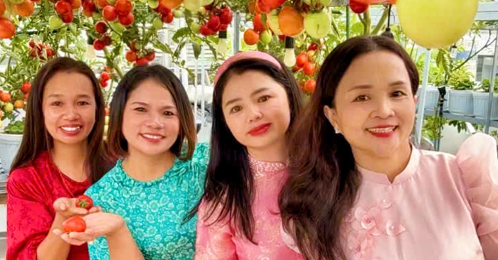 Vườn cà chua sân thượng bất ngờ hút khách chụp ảnh Tết