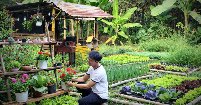 Khu vườn 600m2 ở TPHCM mang nhịp sống chậm giữa ngoại ô
