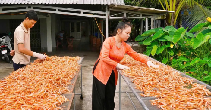Đặc sản tôm khô móng chim Cà Mau hút khách Tết