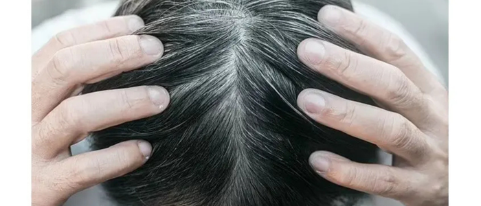 Tuổi thọ hé lộ qua mái tóc: 4 dấu hiệu thường gặp ở người sống thọ