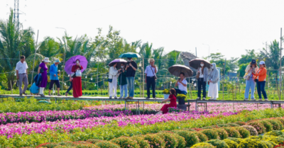 Làng hoa Sa Đéc và hành trình ngắm hoa giữa sông nước