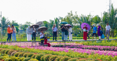 Làng hoa Sa Đéc với kỹ thuật trồng hoa “không chạm đất”