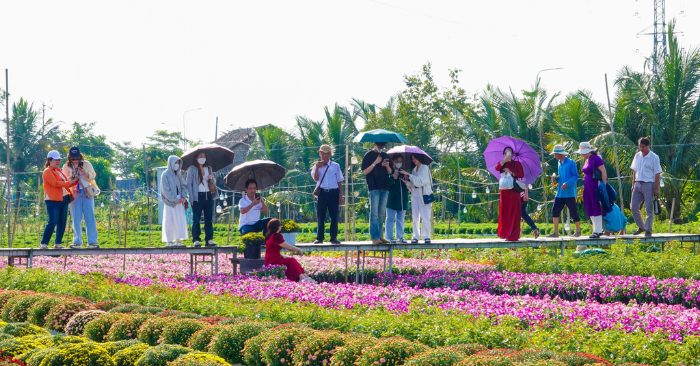 Làng hoa Sa Đéc với kỹ thuật trồng hoa “không chạm đất”