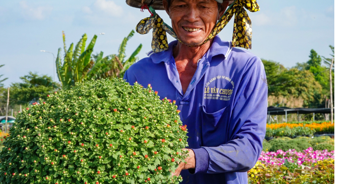 Làng hoa Sa Đéc với kỹ thuật trồng hoa “không chạm đất”