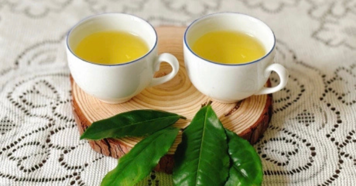 Trà xanh phòng ngừa đột quỵ: Đồ uống rẻ mà quý