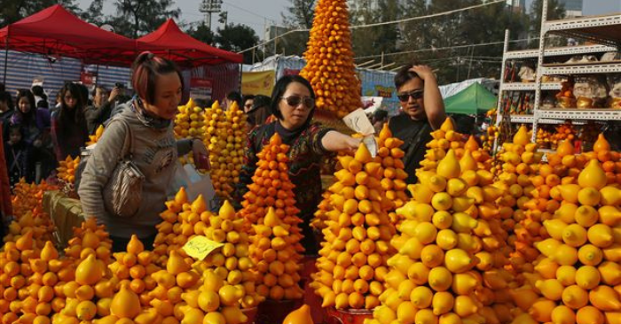 Cây ngũ đại đồng đường rước ngũ phúc Tết 202