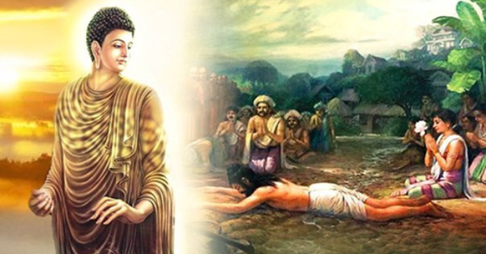 7 Trường hợp Không Nên Sát Sinh Theo Lời Phật Dạy