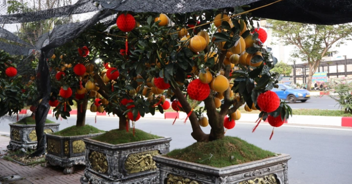 Tết là nơi trái tim tìm về