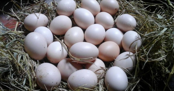 5 người không nên ăn trứng cần biết